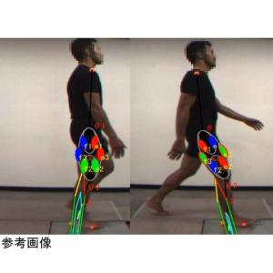 実効筋力評価システム FEMS 計算力学研究セ...の詳細画像2