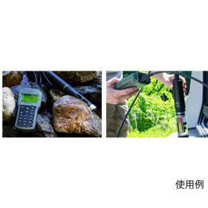 投げ込み式ポータブルpH/ORP/EC/DO計...の詳細画像1