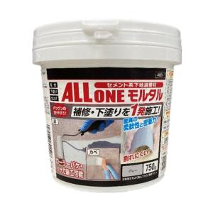 アサヒペン APオールワンモルタル 750g グレー (67-7122-22)の商品画像