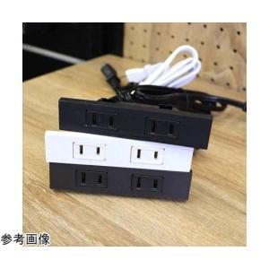 埋め込みコンセント 2口 白 STAXの買取情報