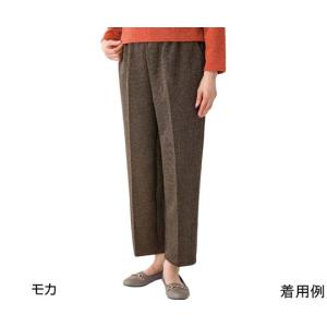 ケアファッション おしりスルッとパンツ デイリーカチオン モカ L 股下60cm 97642 (67-9273-05)の商品画像