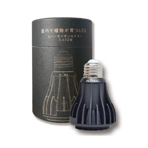 Ever Sun 365 mini 12W B...の詳細画像5