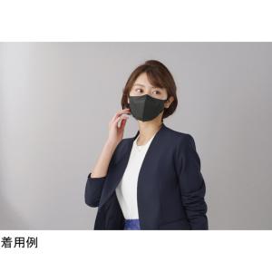 DAILY FIT MASK 立体 ふつうワイ...の詳細画像5