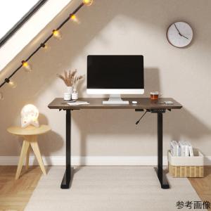 電動昇降デスク ブラック Flexispot E9-PRO-B-JA (68-1413-25) - 最