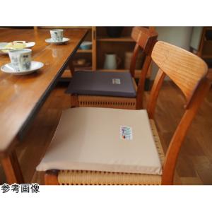 ボディドクター ザ・シート グレー グローバル...の詳細画像1