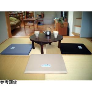 ボディドクター ザ・シート グレー グローバル...の詳細画像2