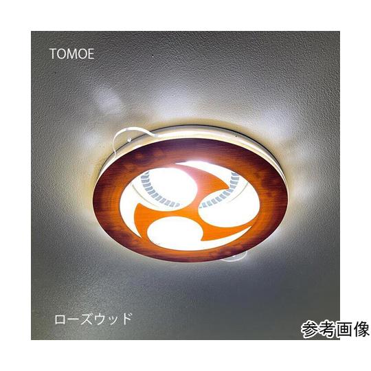 ツケレルンダウンライトキャップ YOZORA DECO ブラック_ Lサイズ 西崎ベース dlc-0...