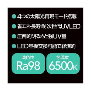 Bar Type SOLARIUM UVLED...の詳細画像2