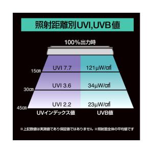 Bar Type SOLARIUM UVLED...の詳細画像4