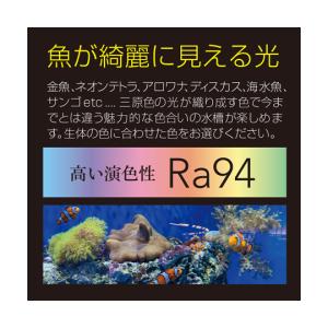 Free Color Hyper LED Vi...の詳細画像4