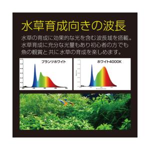 Free Color Hyper LED Vi...の詳細画像5