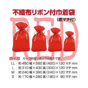 フロンティア 不織布リボン付きギフトバッグ レ...の詳細画像4