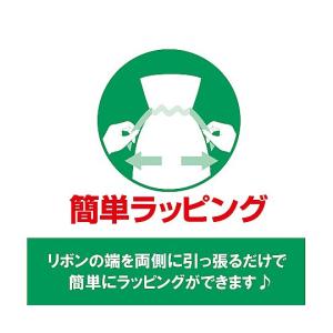フロンティア 不織布リボン付きギフトバッグ ブ...の詳細画像5