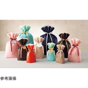 フロンティア 不織布リボン付きギフトバッグ ネ...の詳細画像1