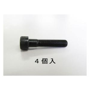 M4 x 30 [高強度・高張力]六角穴付ボルト エスコ EA949DJ-430 (78-0883-75)