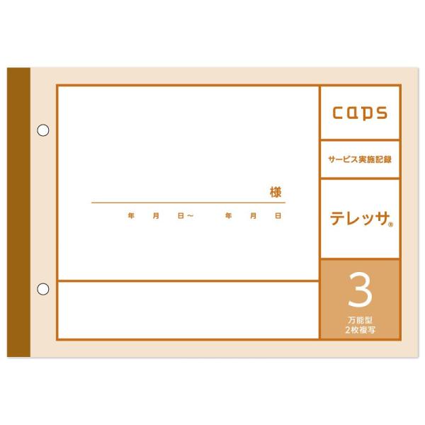 看護・介護記録用紙 テレッサ3 サービス実施記録 A5 1セット 50組×20冊入