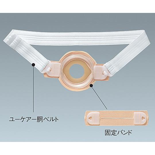 固定ベルト・II 交換用固定バンド 1袋 2個入 アルケア 18071 (8-4259-02)