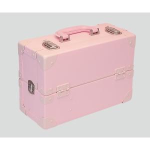 尊体用メイク剤 ピンク ID (8-6317-01)の商品画像