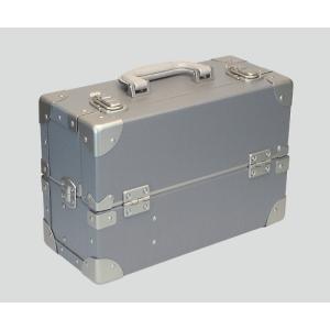 尊体用メイク剤 グレー ID (8-6317-02)の商品画像