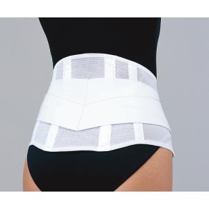 マックスベルト me3 4L シグマックス 322306 (8-8835-07)の商品画像