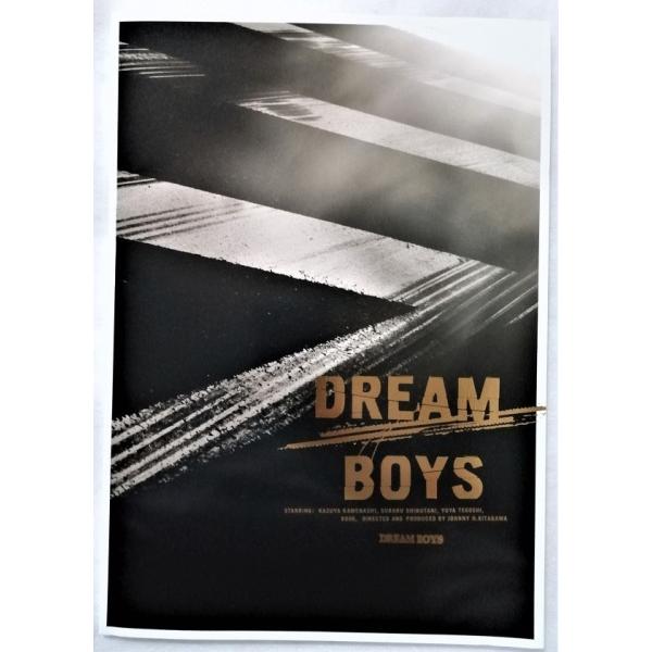 中古パンフ　『 DREAM BOYS 2009 』帝国劇場　2009年　/　亀梨和也 ・渋谷すばる ...