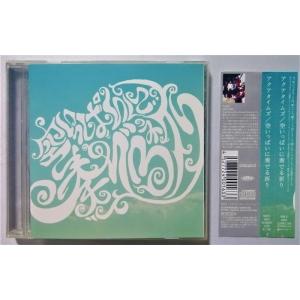 CD/Aqua Timez アクア・タイムズ/風をあつめて(ウィンターバージョン