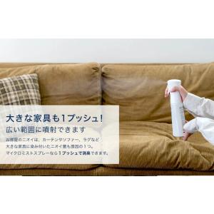 A2Care マイクロミストスプレー350ml...の詳細画像1