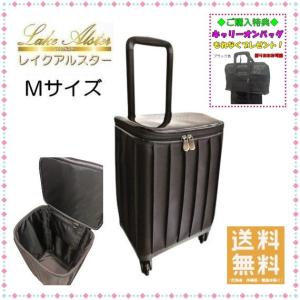レイクアルスター ( カワサキ ) キャリーバッグ ミニ4輪カート レイクアルスター ( カワサキ ) キャリーバッグ ミニ4輪カート