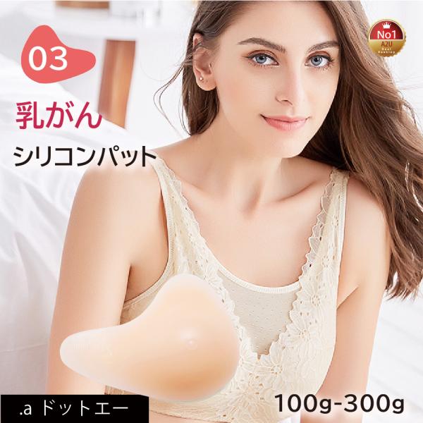 乳がんパット！全摘術専用 シリコン 乳がん用 パッド 100g~300g 右胸用 左胸用 人工乳房 ...