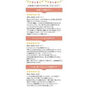 ヌーブラ 大きいサイズ A~Hカップ対応 盛れ...の詳細画像4