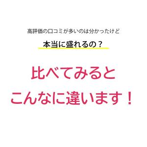 ヌーブラ 大きいサイズ A~Hカップ対応 盛れ...の詳細画像5
