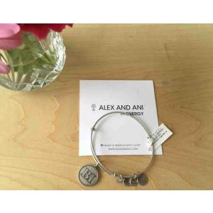 アレックスアンドアニーブロックアイランド バングル シルバー Alex and Ani Bangle...