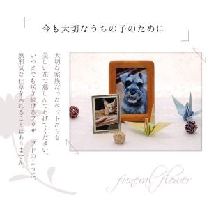 ペット お悔やみ のお花 犬 猫 プリザーブド...の詳細画像2