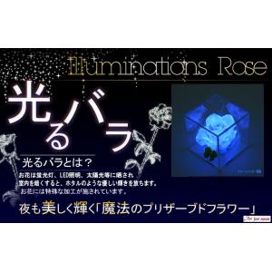 プリザーブドフラワー 四つ葉のクローバー 光る...の詳細画像1