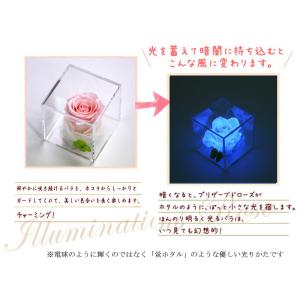 プリザーブドフラワー 四つ葉のクローバー 光る...の詳細画像4