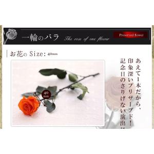 プリザーブドフラワー 誕生日プレゼント 花 ギ...の詳細画像4