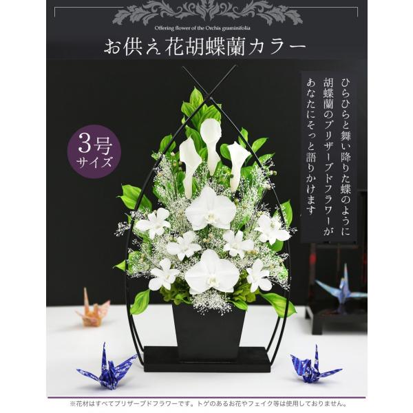 プリザーブドフラワー 仏花 胡蝶蘭 カラー お供え花 ブリザードフラワー お悔やみ 新盆 初盆 アー...