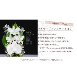 プリザーブドフラワー 仏花 ブリザードフラワ-...の詳細画像5