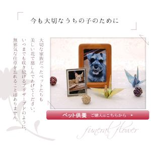 フォトフレーム 写真立て ペット お悔やみ の...の詳細画像1