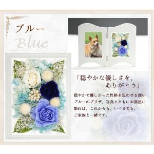 フォトフレーム 写真立て ペット お悔やみ の...の詳細画像4