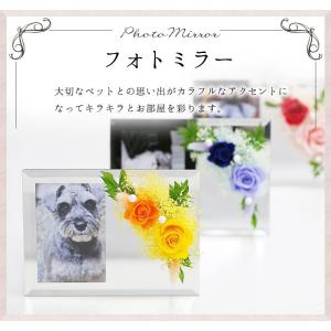 フォトミラー 写真立て ペット お悔やみ のお花...の商品画像