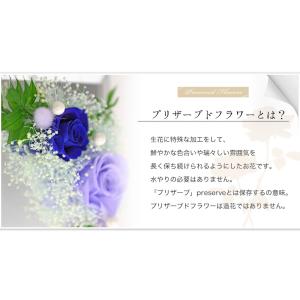 フォトミラー 写真立て ペット お悔やみ のお...の詳細画像2
