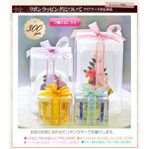 オプション リボン掛け ラッピング 花ギフトに付随した商品です オプション商品 クリアケース対応商品 Gr 001 アートフォーシーズン 通販 Yahoo ショッピング