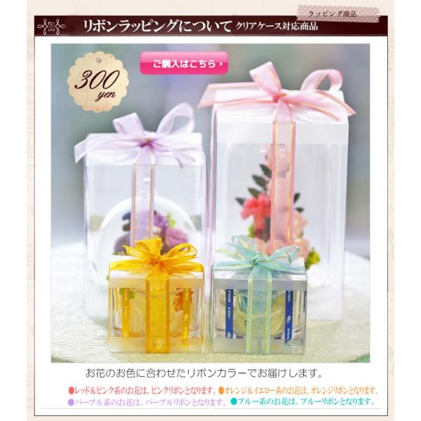 オプション リボン掛け 花ギフトに付随した商品です。クリアケース対応商品 アートフォーシーズン
