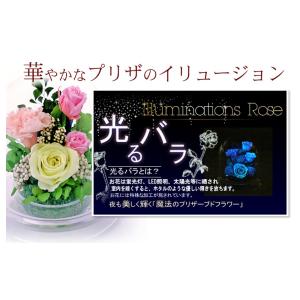 プリザーブドフラワー 花 ギフト 光る バラ ...の詳細画像2