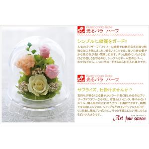 プリザーブドフラワー 花 ギフト 光る バラ ...の詳細画像4