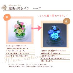 プリザーブドフラワー 花 ギフト 光る バラ ...の詳細画像5