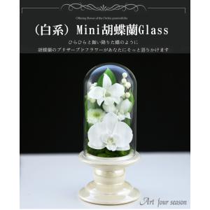 プリザーブドフラワー 仏花 ミニ 胡蝶蘭 ガラ...の詳細画像1