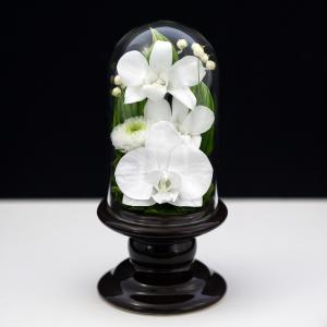 プリザーブドフラワー 仏花 ミニ 胡蝶蘭 ガラ...の詳細画像3