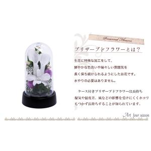 プリザーブドフラワー 仏花 お供え花 仏壇用 ...の詳細画像3